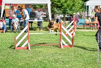 014AGI CLAYE SOUILLY - JAWAK -25062017-AGI 6520STANDARD : 2017, 25 JUIN 2017, AGILITY CLAYE SOUILLY 2017, AGILITY STANDARD, CAT.C, D49, JAWAK