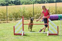 020AGI CLAYE SOUILLY - JAWAK -25062017-AGI 7737AGILITY 2 : 2017, 25 JUIN 2017, AGILITY 2, AGILITY CLAYE SOUILLY 2017, CAT.C, D49, JAWAK