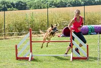 021AGI CLAYE SOUILLY - JAWAK -25062017-AGI 7738AGILITY 2 : 2017, 25 JUIN 2017, AGILITY 2, AGILITY CLAYE SOUILLY 2017, CAT.C, D49, JAWAK