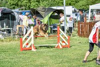 001-MIK -25062017-AGI 6525STANDARD : 2017, 25 JUIN 2017, AGILITY CLAYE SOUILLY 2017, AGILITY STANDARD, CAT.C, D55, VIGILIA SACRA MIK