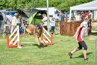 002-MIK -25062017-AGI 6526STANDARD : 2017, 25 JUIN 2017, AGILITY CLAYE SOUILLY 2017, AGILITY STANDARD, CAT.C, D55, VIGILIA SACRA MIK