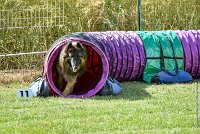 006-MIK -25062017-AGI 6530STANDARD : 2017, 25 JUIN 2017, AGILITY CLAYE SOUILLY 2017, AGILITY STANDARD, CAT.C, D55, VIGILIA SACRA MIK