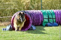 007-MIK -25062017-AGI 6531STANDARD : 2017, 25 JUIN 2017, AGILITY CLAYE SOUILLY 2017, AGILITY STANDARD, CAT.C, D55, VIGILIA SACRA MIK