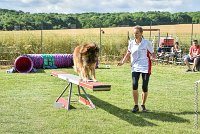 009-MIK -25062017-AGI 6533STANDARD : 2017, 25 JUIN 2017, AGILITY CLAYE SOUILLY 2017, AGILITY STANDARD, CAT.C, D55, VIGILIA SACRA MIK