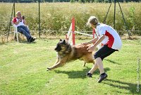 018-MIK -25062017-AGI 6543STANDARD : 2017, 25 JUIN 2017, AGILITY CLAYE SOUILLY 2017, AGILITY STANDARD, CAT.C, D55, VIGILIA SACRA MIK