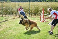 019-MIK -25062017-AGI 6544STANDARD : 2017, 25 JUIN 2017, AGILITY CLAYE SOUILLY 2017, AGILITY STANDARD, CAT.C, D55, VIGILIA SACRA MIK