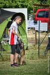 022-MIK -25062017-AGI 7398AGILITY 1 : 2017, 25 JUIN 2017, AGILITY 1, AGILITY CLAYE SOUILLY 2017, CAT.C, D55, VIGILIA SACRA MIK