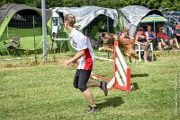 028-MIK -25062017-AGI 7407AGILITY 1 : 2017, 25 JUIN 2017, AGILITY 1, AGILITY CLAYE SOUILLY 2017, CAT.C, D55, VIGILIA SACRA MIK