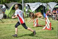 029-MIK -25062017-AGI 7408AGILITY 1 : 2017, 25 JUIN 2017, AGILITY 1, AGILITY CLAYE SOUILLY 2017, CAT.C, D55, VIGILIA SACRA MIK