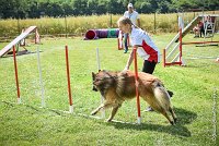 032-MIK -25062017-AGI 7413AGILITY 1 : 2017, 25 JUIN 2017, AGILITY 1, AGILITY CLAYE SOUILLY 2017, CAT.C, D55, VIGILIA SACRA MIK