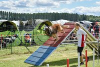 039-MIK -25062017-AGI 7420AGILITY 1 : 2017, 25 JUIN 2017, AGILITY 1, AGILITY CLAYE SOUILLY 2017, CAT.C, D55, VIGILIA SACRA MIK