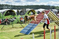 040-MIK -25062017-AGI 7421AGILITY 1 : 2017, 25 JUIN 2017, AGILITY 1, AGILITY CLAYE SOUILLY 2017, CAT.C, D55, VIGILIA SACRA MIK