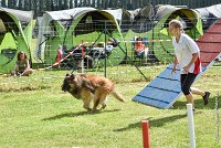 041-MIK -25062017-AGI 7422AGILITY 1 : 2017, 25 JUIN 2017, AGILITY 1, AGILITY CLAYE SOUILLY 2017, CAT.C, D55, VIGILIA SACRA MIK