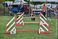 001 CHELSEA-05082017-AGI 8739AGILITY COMPIEGNE 2017 - STANDARD : 2017, 25 JUIN 2017, AGILITY COMPIEGNE 2017, AGILITY STANDARD, CAT.C, CYRIELLE DITE CHELSEA, D37