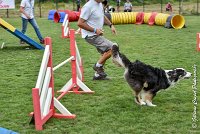 010 CHELSEA-05082017-AGI 8750AGILITY COMPIEGNE 2017 - STANDARD : 2017, 25 JUIN 2017, AGILITY COMPIEGNE 2017, AGILITY STANDARD, CAT.C, CYRIELLE DITE CHELSEA, D37