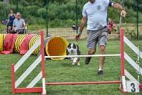 014 CHELSEA-05082017-AGI 8760AGILITY COMPIEGNE 2017 - STANDARD : 2017, 25 JUIN 2017, AGILITY COMPIEGNE 2017, AGILITY STANDARD, CAT.C, CYRIELLE DITE CHELSEA, D37