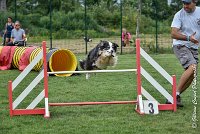 015 CHELSEA-05082017-AGI 8762AGILITY COMPIEGNE 2017 - STANDARD : 2017, 25 JUIN 2017, AGILITY COMPIEGNE 2017, AGILITY STANDARD, CAT.C, CYRIELLE DITE CHELSEA, D37