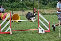 016 CHELSEA-05082017-AGI 8763AGILITY COMPIEGNE 2017 - STANDARD : 2017, 25 JUIN 2017, AGILITY COMPIEGNE 2017, AGILITY STANDARD, CAT.C, CYRIELLE DITE CHELSEA, D37