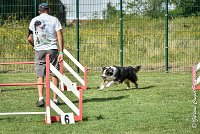 024 CHELSEA-05082017-AGI 0317AGILITY COMPIEGNE 2017 - AGILITY 1 : 2017, 25 JUIN 2017, AGILITY 1, AGILITY COMPIEGNE 2017, CAT.C, CYRIELLE DITE CHELSEA