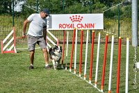 027 CHELSEA-05082017-AGI 0320AGILITY COMPIEGNE 2017 - AGILITY 1 : 2017, 25 JUIN 2017, AGILITY 1, AGILITY COMPIEGNE 2017, CAT.C, CYRIELLE DITE CHELSEA