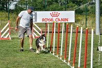 028 CHELSEA-05082017-AGI 0321AGILITY COMPIEGNE 2017 - AGILITY 1 : 2017, 25 JUIN 2017, AGILITY 1, AGILITY COMPIEGNE 2017, CAT.C, CYRIELLE DITE CHELSEA