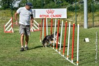 029 CHELSEA-05082017-AGI 0323AGILITY COMPIEGNE 2017 - AGILITY 1 : 2017, 25 JUIN 2017, AGILITY 1, AGILITY COMPIEGNE 2017, CAT.C, CYRIELLE DITE CHELSEA