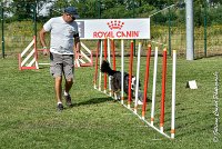 030 CHELSEA-05082017-AGI 0324AGILITY COMPIEGNE 2017 - AGILITY 1 : 2017, 25 JUIN 2017, AGILITY 1, AGILITY COMPIEGNE 2017, CAT.C, CYRIELLE DITE CHELSEA