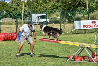 037 CHELSEA-05082017-AGI 0333AGILITY COMPIEGNE 2017 - AGILITY 1 : 2017, 25 JUIN 2017, AGILITY 1, AGILITY COMPIEGNE 2017, CAT.C, CYRIELLE DITE CHELSEA