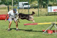 038 CHELSEA-05082017-AGI 0334AGILITY COMPIEGNE 2017 - AGILITY 1 : 2017, 25 JUIN 2017, AGILITY 1, AGILITY COMPIEGNE 2017, CAT.C, CYRIELLE DITE CHELSEA