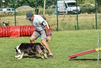 039 CHELSEA-05082017-AGI 0335AGILITY COMPIEGNE 2017 - AGILITY 1 : 2017, 25 JUIN 2017, AGILITY 1, AGILITY COMPIEGNE 2017, CAT.C, CYRIELLE DITE CHELSEA