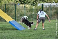 043 CHELSEA-05082017-AGI 0341AGILITY COMPIEGNE 2017 - AGILITY 1 : 2017, 25 JUIN 2017, AGILITY 1, AGILITY COMPIEGNE 2017, CAT.C, CYRIELLE DITE CHELSEA