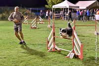 046 CHELSEA-06082017-AGI 1940sans titre : 2017, 25 JUIN 2017, AGILITY COMPIEGNE 2017, CYRIELLE DITE CHELSEA, EPREUVE OUVERTE