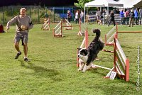 047 CHELSEA-06082017-AGI 1941sans titre : 2017, 25 JUIN 2017, AGILITY COMPIEGNE 2017, CYRIELLE DITE CHELSEA, EPREUVE OUVERTE