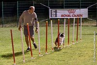 049 CHELSEA-06082017-AGI 1944sans titre : 2017, 25 JUIN 2017, AGILITY COMPIEGNE 2017, CYRIELLE DITE CHELSEA, EPREUVE OUVERTE