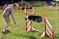 053 CHELSEA-06082017-AGI 1948sans titre : 2017, 25 JUIN 2017, AGILITY COMPIEGNE 2017, CYRIELLE DITE CHELSEA, EPREUVE OUVERTE