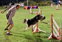 054 CHELSEA-06082017-AGI 1949sans titre : 2017, 25 JUIN 2017, AGILITY COMPIEGNE 2017, CYRIELLE DITE CHELSEA, EPREUVE OUVERTE