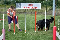 023 ELANKA -05082017-AGI 1222sans titre : 2017, 25 JUIN 2017, AGILITY 2, AGILITY COMPIEGNE 2017, CAT.D, D91, ELANKA