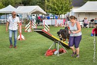 025 ELANKA -05082017-AGI 1227sans titre : 2017, 25 JUIN 2017, AGILITY 2, AGILITY COMPIEGNE 2017, CAT.D, D91, ELANKA