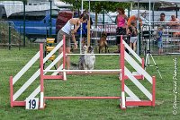 001 ETNA -05082017-AGI 9145AGILITY COMPIEGNE 2017 - STANDARD : 2017, 25 JUIN 2017, AGILITY COMPIEGNE 2017, AGILITY STANDARD, CAT.C, D59, ETNA