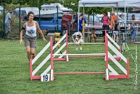 002 ETNA -05082017-AGI 9148AGILITY COMPIEGNE 2017 - STANDARD : 2017, 25 JUIN 2017, AGILITY COMPIEGNE 2017, AGILITY STANDARD, CAT.C, D59, ETNA