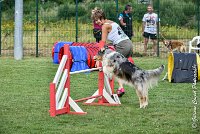 008 ETNA -05082017-AGI 9155AGILITY COMPIEGNE 2017 - STANDARD : 2017, 25 JUIN 2017, AGILITY COMPIEGNE 2017, AGILITY STANDARD, CAT.C, D59, ETNA