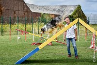 011 ETNA -05082017-AGI 9159AGILITY COMPIEGNE 2017 - STANDARD : 2017, 25 JUIN 2017, AGILITY COMPIEGNE 2017, AGILITY STANDARD, CAT.C, D59, ETNA