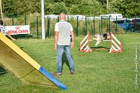 029 ETNA -05082017-AGI 1562AGILITY COMPIEGNE 2017 : 2017, 25 JUIN 2017, AGILITY 2, AGILITY COMPIEGNE 2017, CAT.C, D59, ETNA