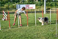 032 ETNA -05082017-AGI 1567AGILITY COMPIEGNE 2017 : 2017, 25 JUIN 2017, AGILITY 2, AGILITY COMPIEGNE 2017, CAT.C, D59, ETNA