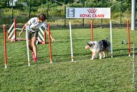 033 ETNA -05082017-AGI 1569AGILITY COMPIEGNE 2017 : 2017, 25 JUIN 2017, AGILITY 2, AGILITY COMPIEGNE 2017, CAT.C, D59, ETNA