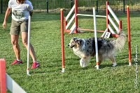 036 ETNA -05082017-AGI 1573AGILITY COMPIEGNE 2017 : 2017, 25 JUIN 2017, AGILITY 2, AGILITY COMPIEGNE 2017, CAT.C, D59, ETNA