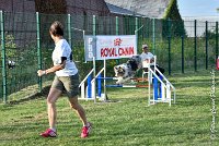 039 ETNA -05082017-AGI 1579AGILITY COMPIEGNE 2017 : 2017, 25 JUIN 2017, AGILITY 2, AGILITY COMPIEGNE 2017, CAT.C, D59, ETNA