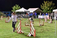 050 ETNA -06082017-AGI 2088AGILITY COMPIEGNE 2017 : 2017, 25 JUIN 2017, AGILITY COMPIEGNE 2017, EPREUVE OUVERTE, ETNA