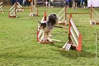 052 ETNA -06082017-AGI 2090AGILITY COMPIEGNE 2017 : 2017, 25 JUIN 2017, AGILITY COMPIEGNE 2017, EPREUVE OUVERTE, ETNA