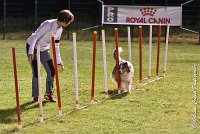 054 ETNA -06082017-AGI 2092AGILITY COMPIEGNE 2017 : 2017, 25 JUIN 2017, AGILITY COMPIEGNE 2017, EPREUVE OUVERTE, ETNA